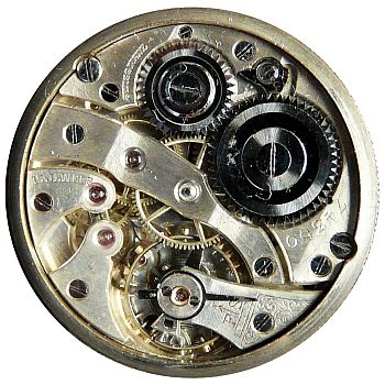 Electa movement